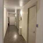 Puccini Centro *
